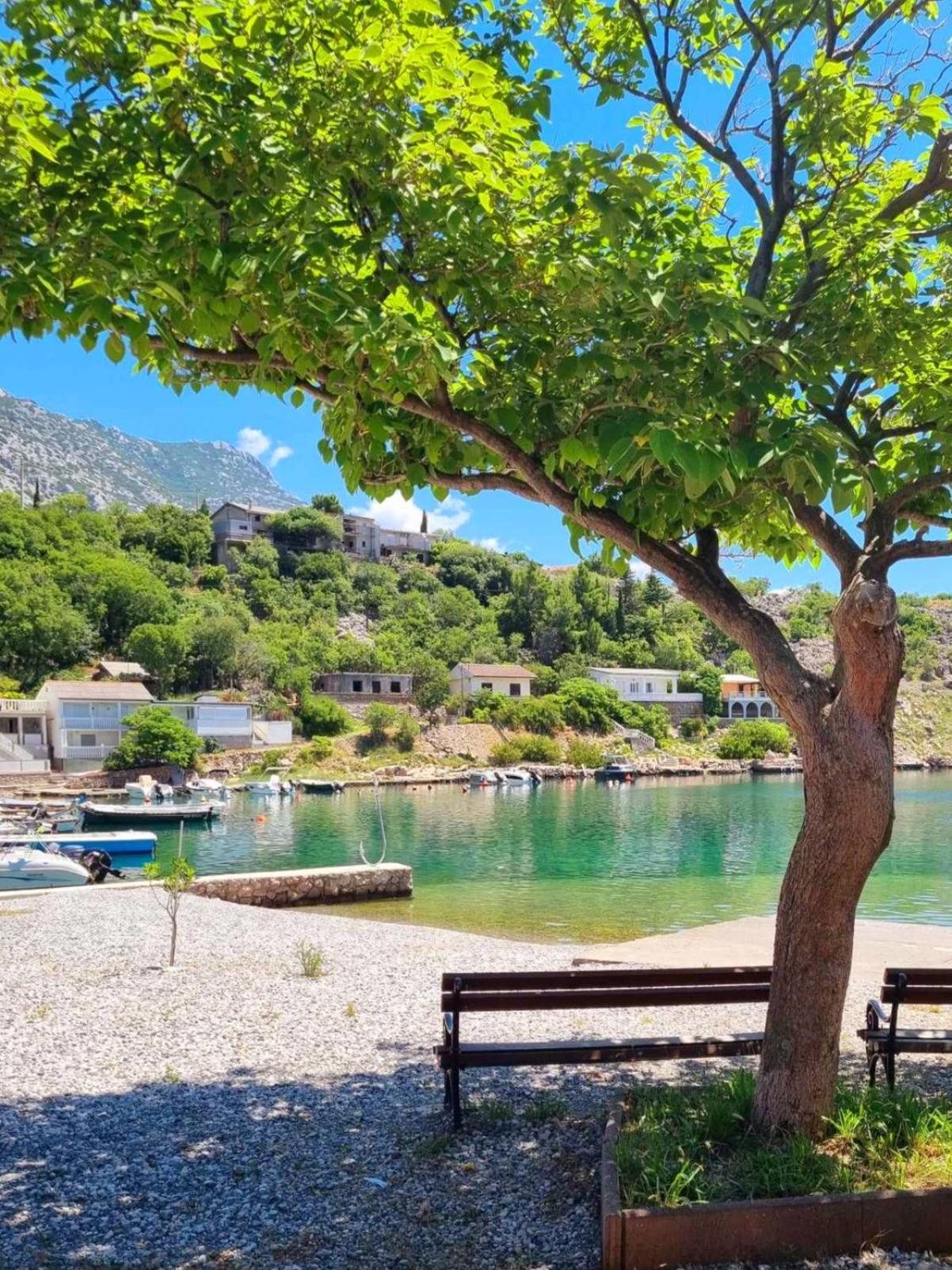 Rosemary Resort Cesarica Luaran gambar